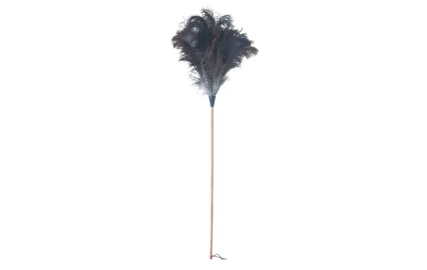 REDECKER PLUMEAU EN  468803